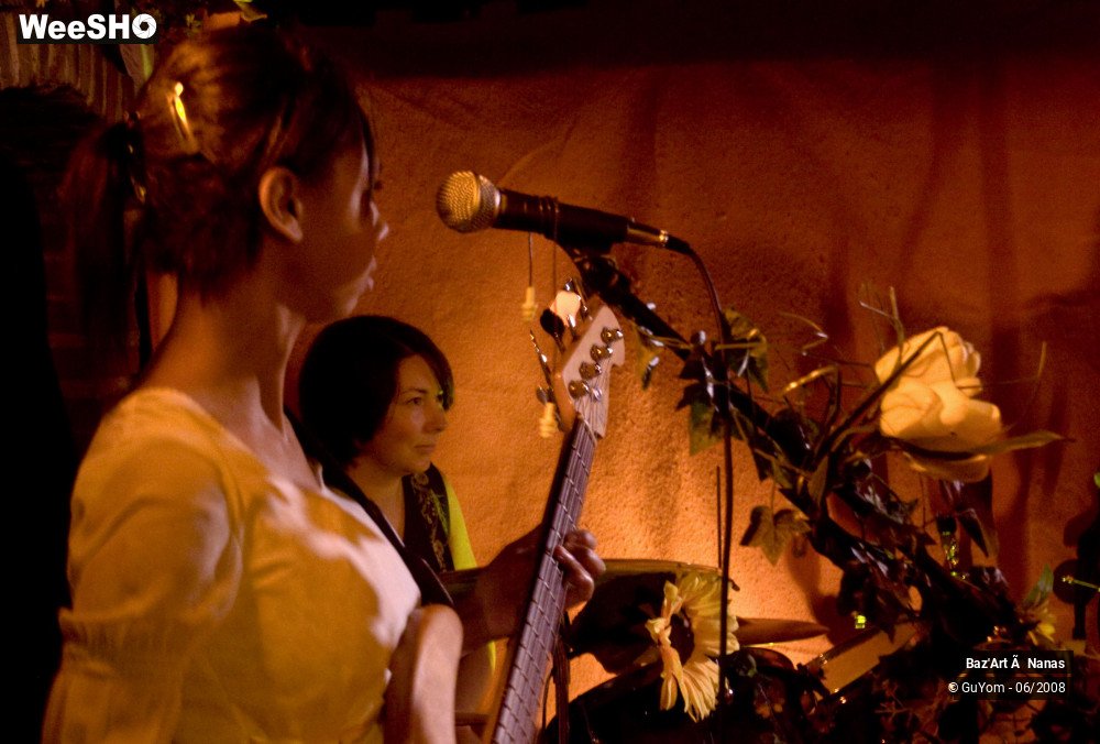 35/35 photos du spectacle Baz'Art à Nanas